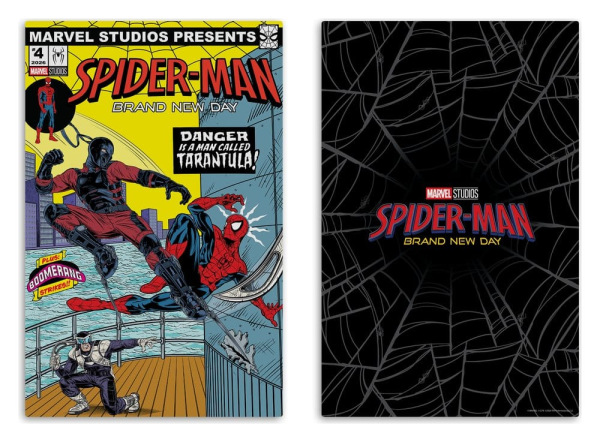 Spider-Man: Brand New Day (2026) Marvel Studios Statue 1/6 Spider-Man 24 cm 6