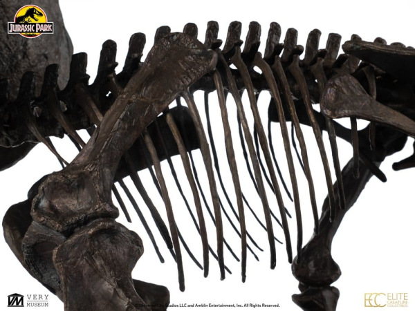 Jurassic World ECC Elite Creature Line Statue 1/12 Triceratops Fossil Skeleton Bronze 33 cm 13