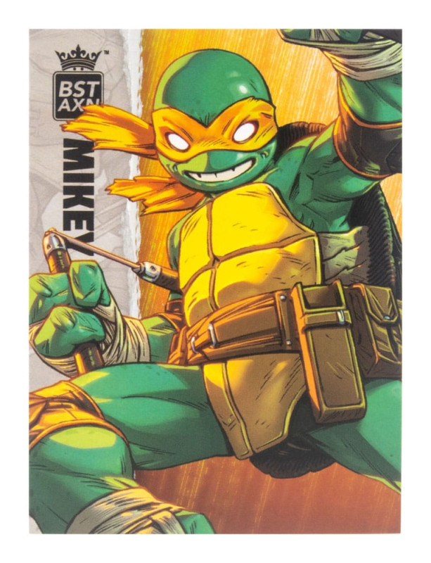 Teenage Mutant Ninja Turtles BST AXN Action Figure Michelangelo (IDW Comics) 13 cm 2