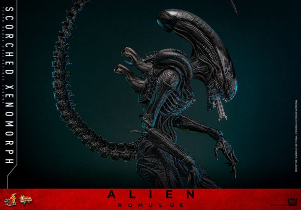 Alien: Romulus Movie Masterpiece Action Figure 1/6 Scorched Xenomorph 44 cm 13