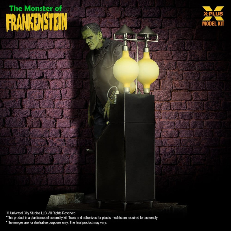 Frankenstein Plastic Model Kit 1/8 The Monster of Frankenstein 27 cm 6