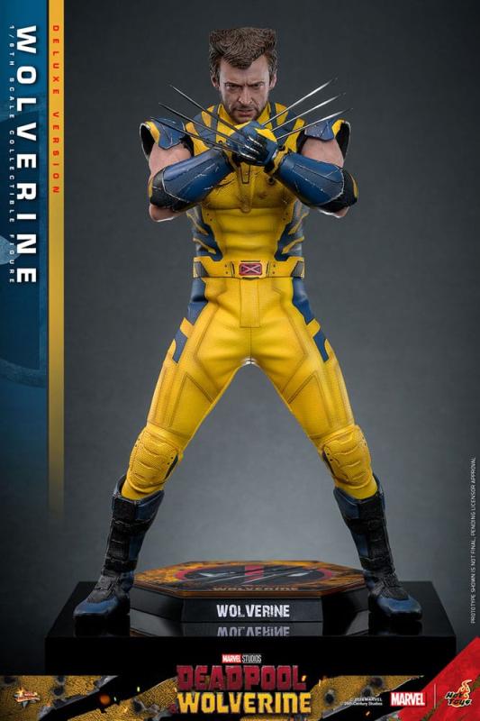 Deadpool & Wolverine Movie Masterpiece Action Figure 1/6 Wolverine (Deluxe Version) 31 cm 7