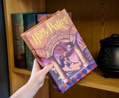 Harry Potter and the Sorcerer's Stone Storage Box 4