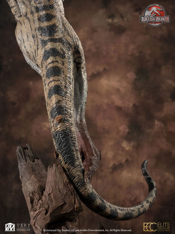Jurassic Park III Maquette 1/4 Female Velociraptor White Queen 103 cm 6