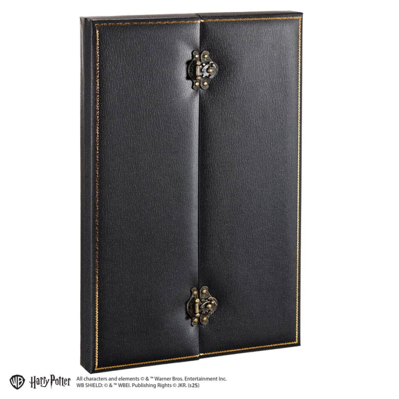 Harry Potter Replica 1/1 Cursed Opal Necklace 56 cm 2