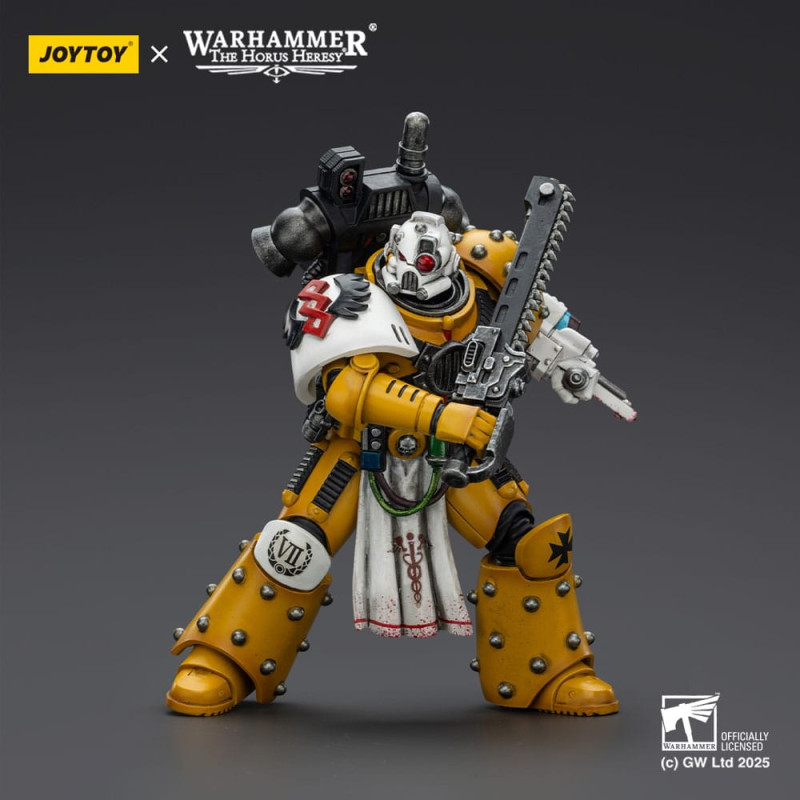 Warhammer 40,000: imperial Fists Action Figure Legion Apothecary 12 cm 4
