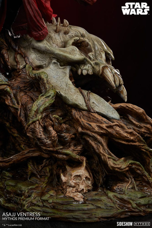 Star Wars Premium Format Statue Asajj Ventress 69 cm 11