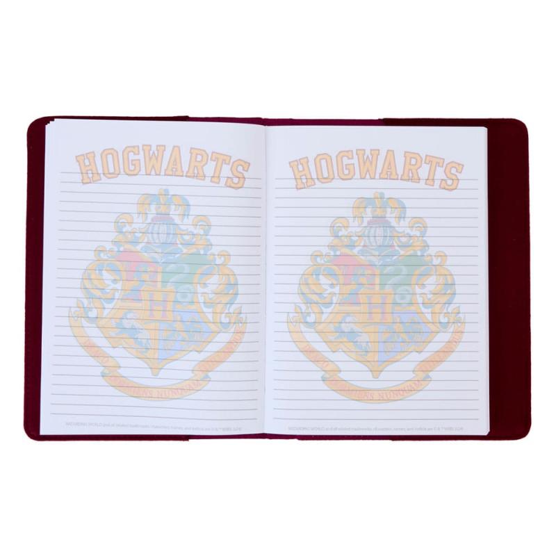 Harry Potter by Loungefly Notebook 2