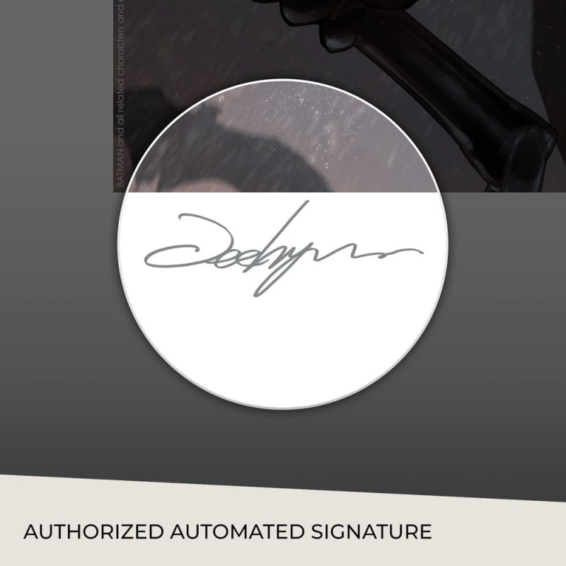 DC Comics Art Print Catwoman 61 x 46 cm - unframed 4