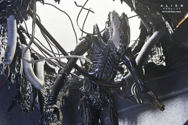 Alien: Romulus Action Figure Deluxe Suspended Lab Xenomorph XX121 18 cm 3