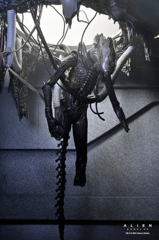 Alien: Romulus Action Figure Deluxe Suspended Lab Xenomorph XX121 18 cm 10