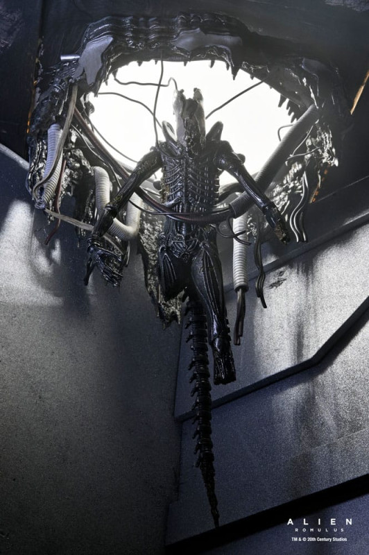 Alien: Romulus Action Figure Deluxe Suspended Lab Xenomorph XX121 18 cm 11