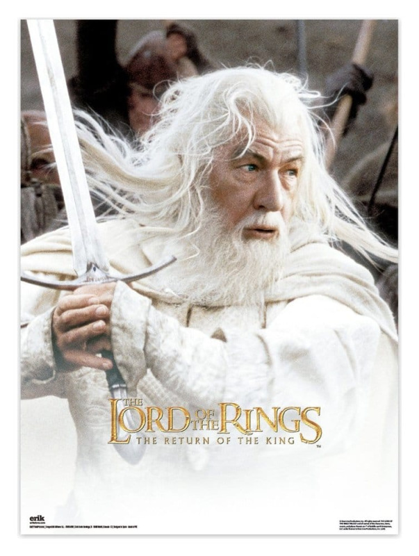 The Lord of the Rings Poster 38 x 52 cm Set of 2 2