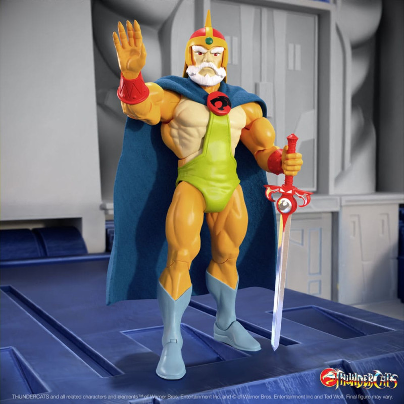 Thundercats Ultimates Action Figure Wave 9 Jaga (Toy Recolor) 20 cm 5