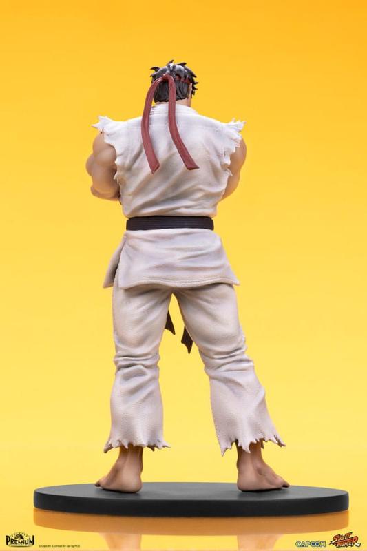 Street Fighter: Ryu & Dan 1/10 PVC Statues - Premium Collectibles Studio