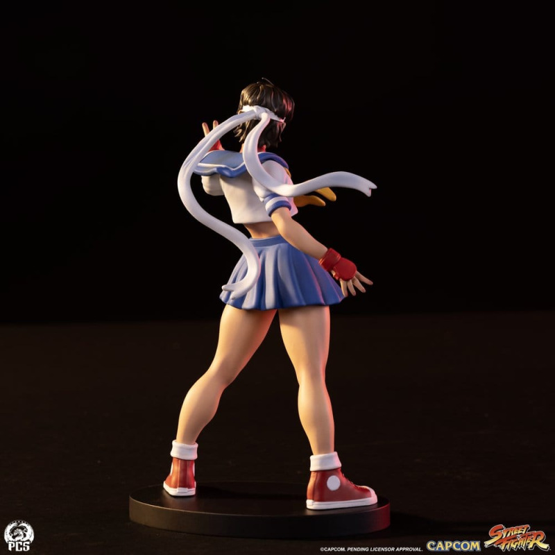 Street Fighter Street Jam Statues 1/10 Sakura & Sodom 22 cm 9