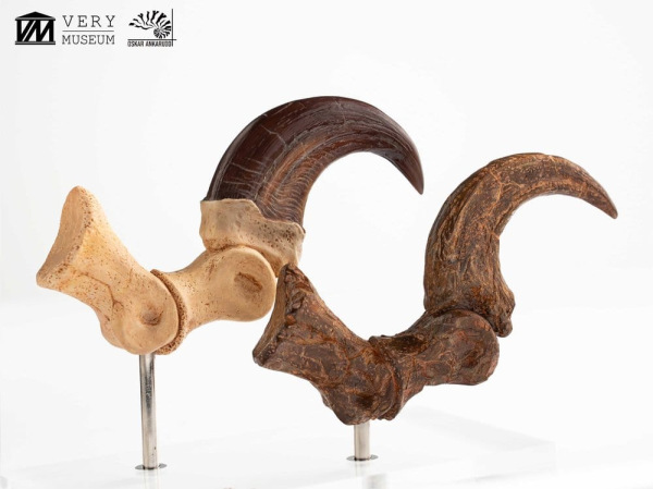 Jurassic Park ECC Elite Creature Line Statue Velociraptor Foot Claw and Fossil Claw Set 20 cm 1