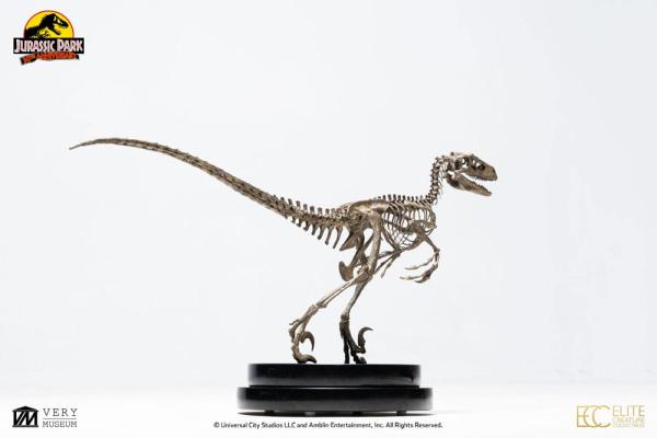 Jurassic Park: Velociraptor Skeleton Bronze 1/8 Statue - Toynami