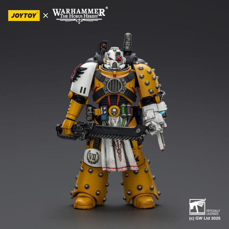 Warhammer 40,000: imperial Fists Action Figure Legion Apothecary 12 cm 1
