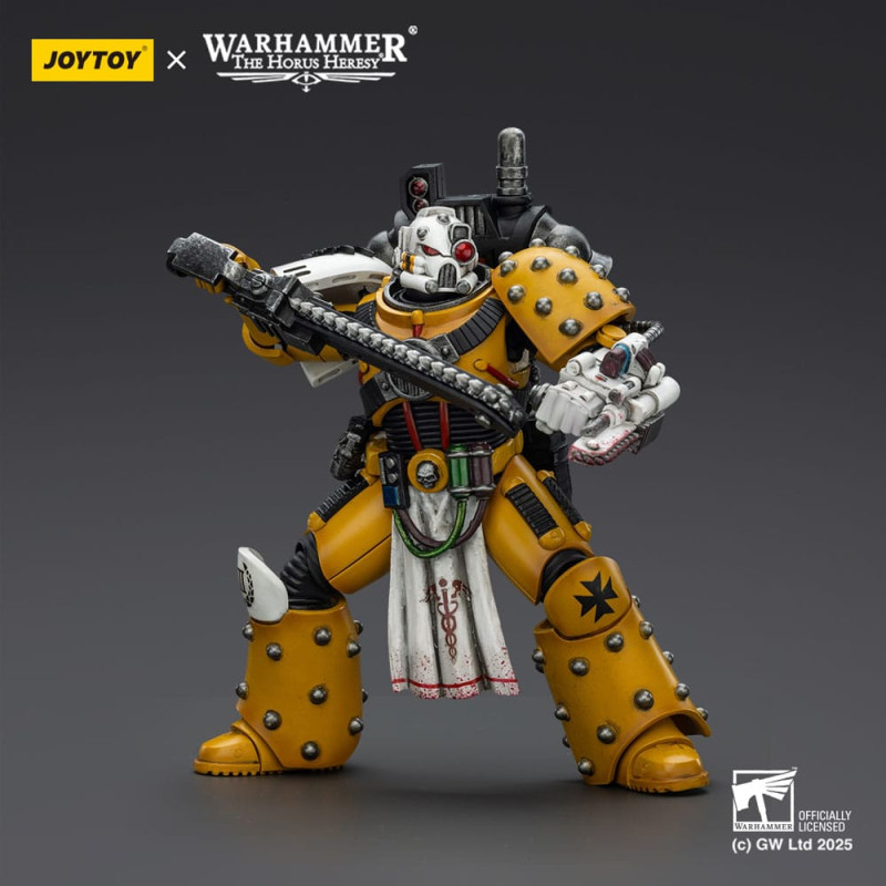 Warhammer 40,000: imperial Fists Action Figure Legion Apothecary 12 cm 3