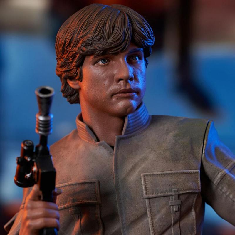 Star Wars Episode V: Luke Skywalker 1/6 Bust - Gentle Giant