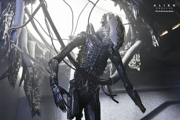 Alien: Romulus Action Figure Deluxe Suspended Lab Xenomorph XX121 18 cm 12