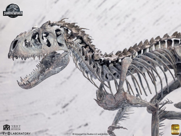 Jurassic World Statue 1/24 Indominus Rex Skeleton Bronze 24 cm 1