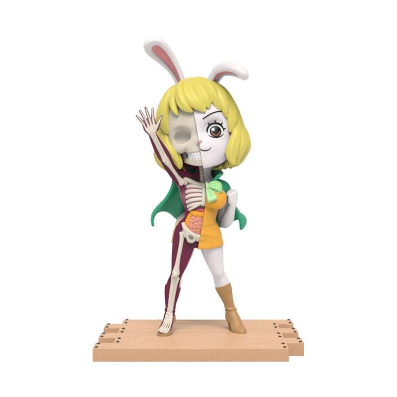 One Piece Blind Box Hidden Dissectibles Series 5 (Ladies ed.) Display (6)