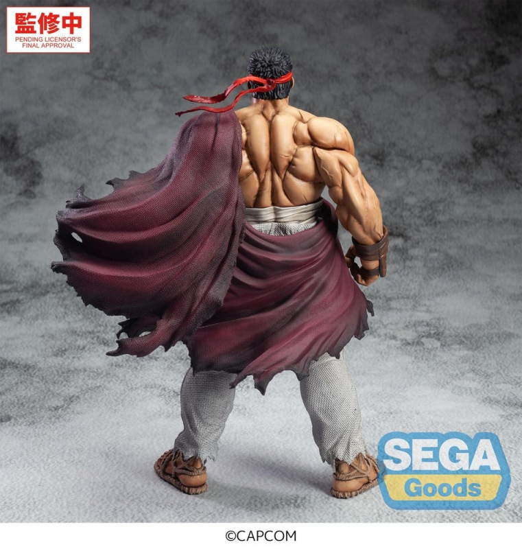 Street Fighter FIGURIZMa PVC Figure Ryu 26 cm 5