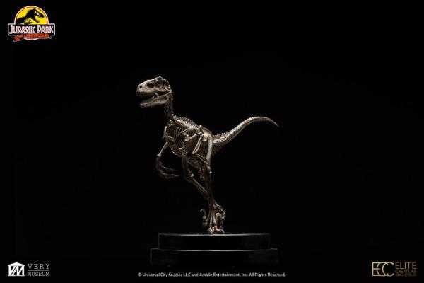 Jurassic Park: Velociraptor Skeleton Bronze 1/8 Statue - Toynami