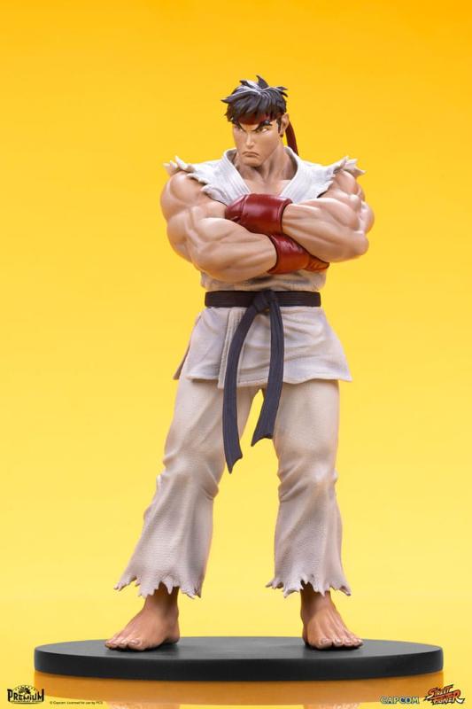 Street Fighter: Ryu & Dan 1/10 PVC Statues - Premium Collectibles Studio