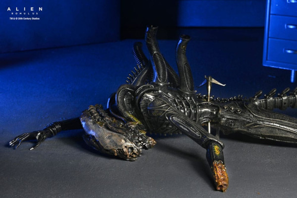 Alien: Romulus Action Figure Deluxe Suspended Lab Xenomorph XX121 18 cm 4