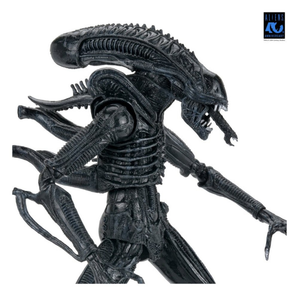 Aliens Ultimate Action Figure Warrior (1986) Xenomorph Black (40th Anniversary) 23 cm 10