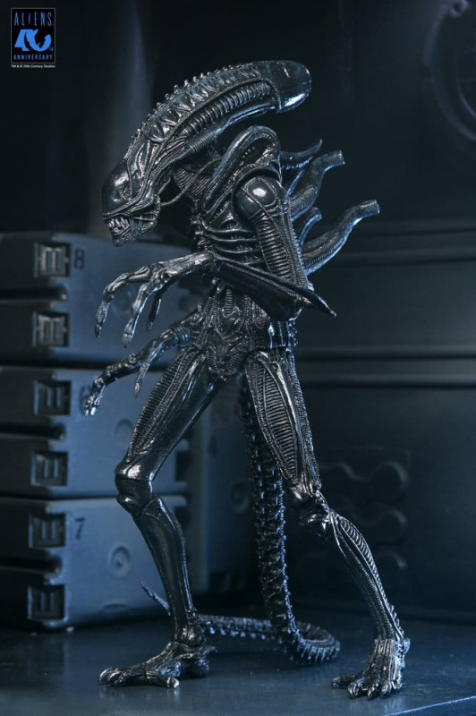 Aliens Ultimate Action Figure Warrior (1986) Xenomorph Black (40th Anniversary) 23 cm 5