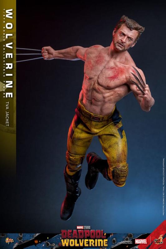 Deadpool & Wolverine Movie Masterpiece Action Figure 1/6 Wolverine (TVA Jacket Version) 31