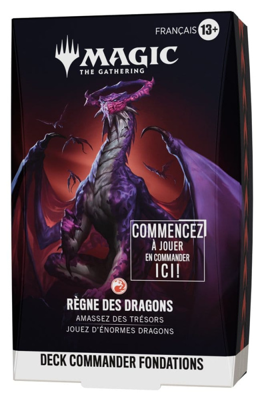 Magic the Gathering Foundations Commander Decks Case (5) french 4