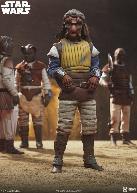 Star Wars Action Figure 1/6 Vizam 32 cm 4