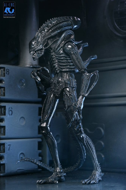 Aliens Ultimate Action Figure Warrior (1986) Xenomorph Black (40th Anniversary) 23 cm 14