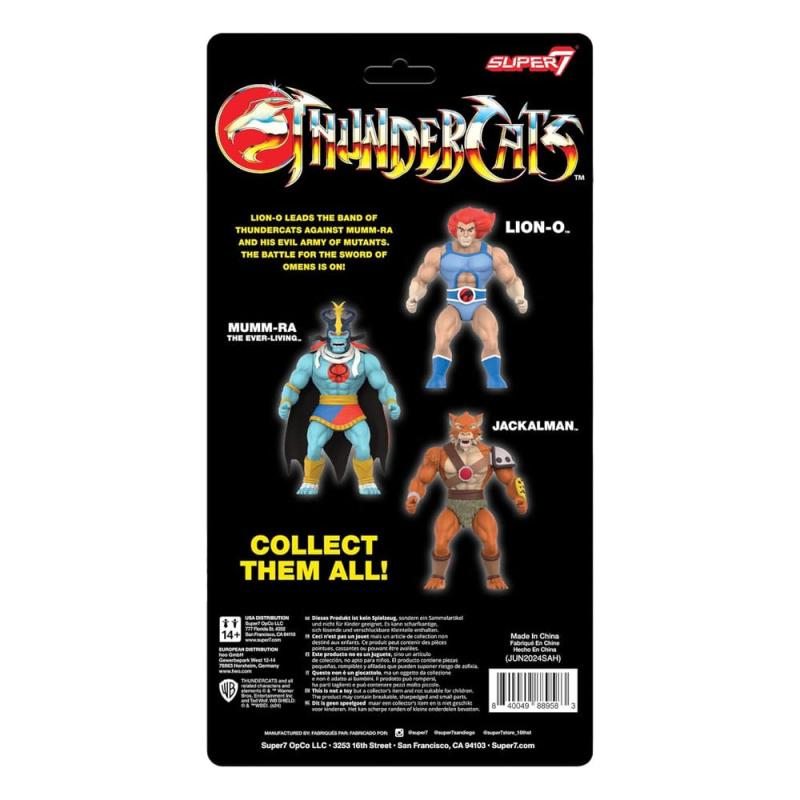 Thundercats Vintage Collection Action Figure Wave 1 Lion-O 14 cm 2