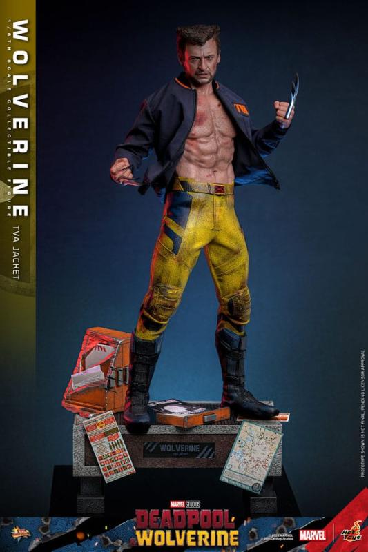 Deadpool & Wolverine Movie Masterpiece Action Figure 1/6 Wolverine (TVA Jacket Version) 31