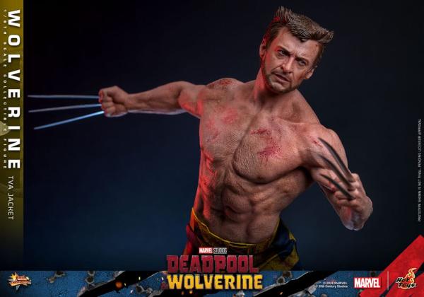 Deadpool & Wolverine Movie Masterpiece Action Figure 1/6 Wolverine (TVA Jacket Version) 31