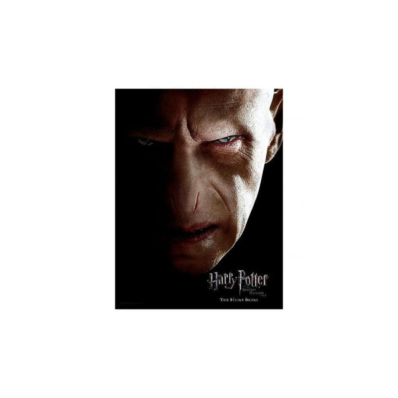 Harry Potter Glass Poster Voldemort 30 x 40 cm