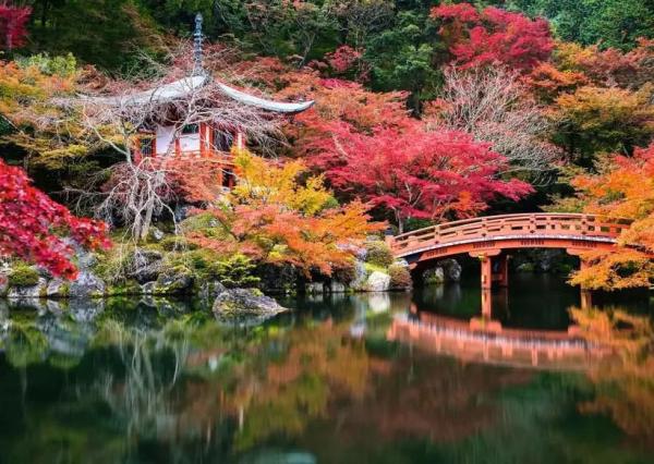 Beautiful Gardens Jigsaw Puzzle Daigo-ji, Kyoto, Japan (1000 pieces)