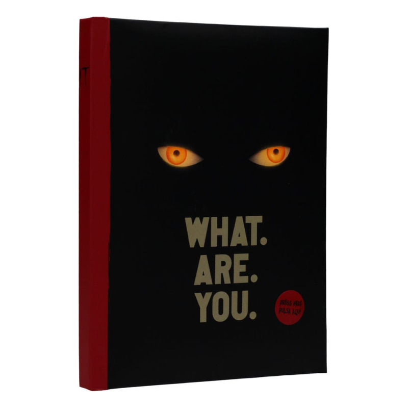 It Notebook with Light What are you 2