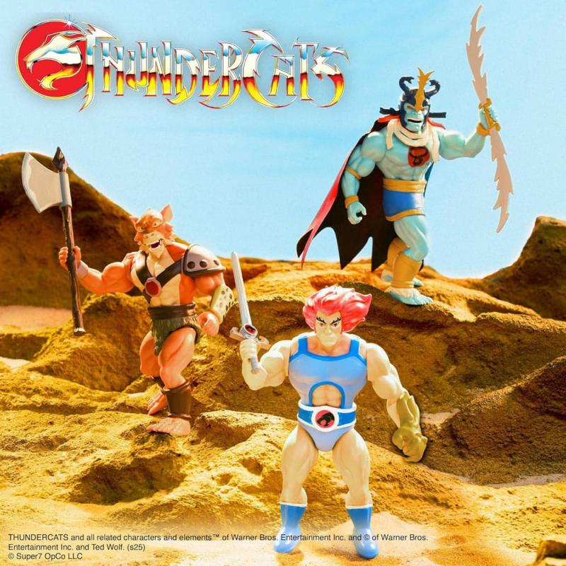 Thundercats Vintage Collection Action Figure Wave 1 Lion-O 14 cm 4