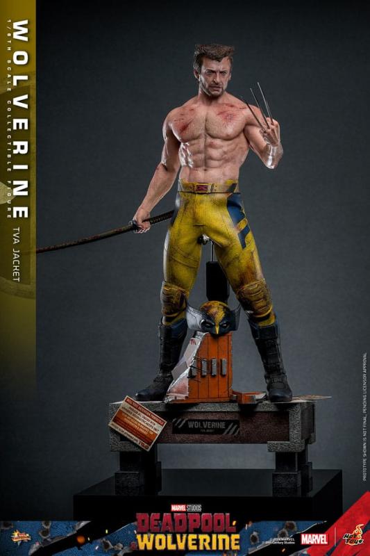 Deadpool & Wolverine Movie Masterpiece Action Figure 1/6 Wolverine (TVA Jacket Version) 31