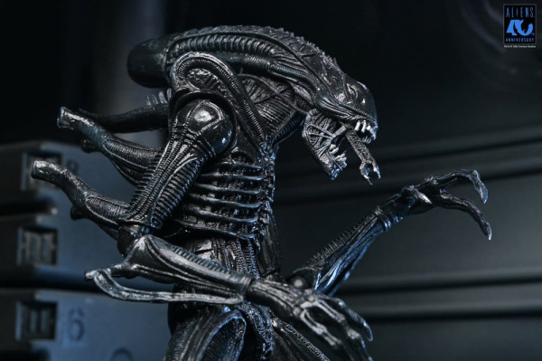 Aliens Ultimate Action Figure Warrior (1986) Xenomorph Black (40th Anniversary) 23 cm 3
