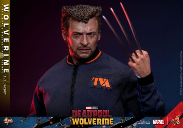 Deadpool & Wolverine Movie Masterpiece Action Figure 1/6 Wolverine (TVA Jacket Version) 31