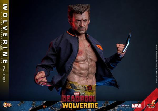 Deadpool & Wolverine Movie Masterpiece Action Figure 1/6 Wolverine (TVA Jacket Version) 31