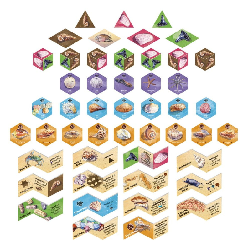 Sanibel Board Game *English Version* 5